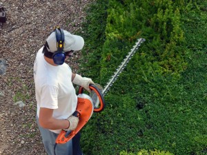 Fotolia 67574143 S brb-pflege