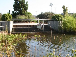 Leistungen-Wasser 06 brb 